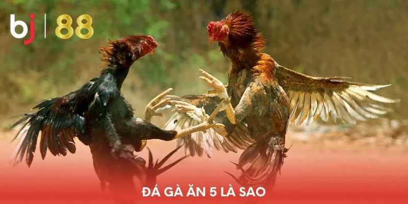 da-ga-an-5-la-sao